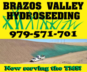 300x250-bvhydroseeding.jpg